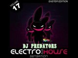 Electro House Sensation Vol.17 - DJ PREDATORS