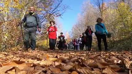 sarıdayı,güney kestane doğa yürüyüşü 10-11-2013