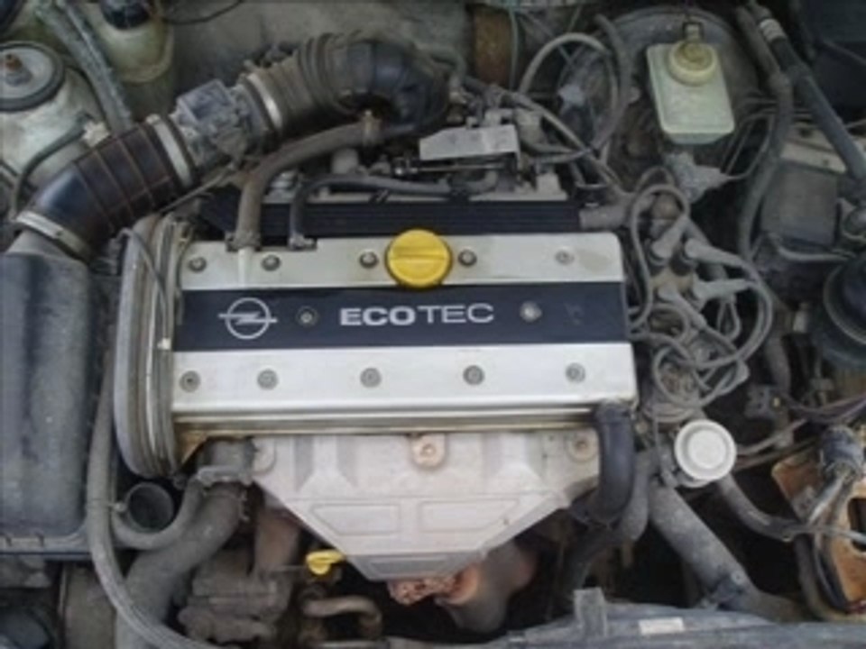 OpEl CaLiBrA