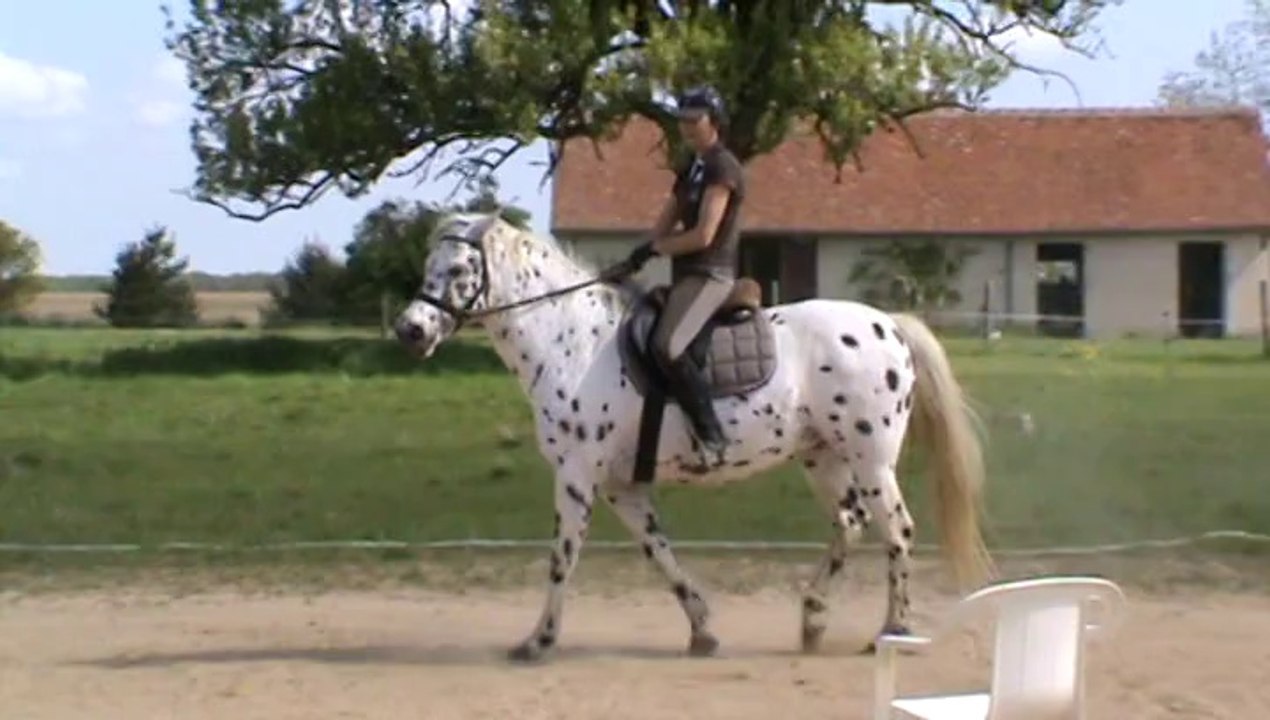 Oby Avril 2014, reprise du travail