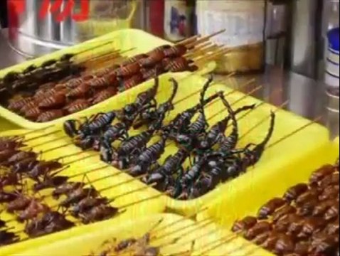 MUTLAKA İZLEYİN ÖZELLİKLE TÜRK ERKEKLERİ İZLESİN