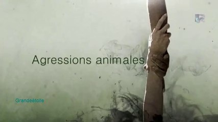 Agressions animales épis.5