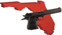 Florida Gun Bill Would Let Anyone Carry Concealed Weapons