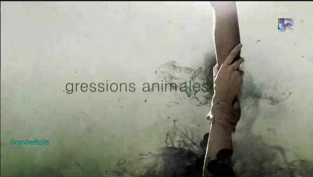 Agressions animales épis.4