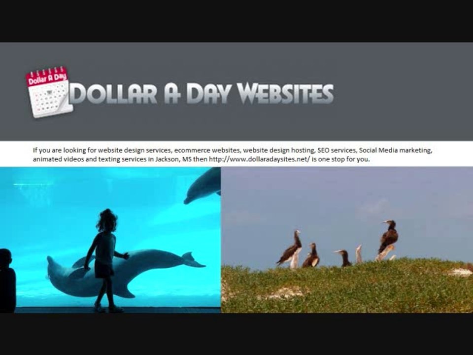 Web Development Company - www.dollaradaysites.net