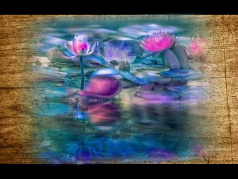 YAHYA KEMAL BEYATLI YILI BESTE YARIŞMASI DİĞER BESTELER