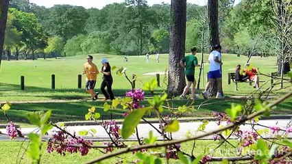 IMT Kingwood Apartments in Kingwood, TX - ForRent.com