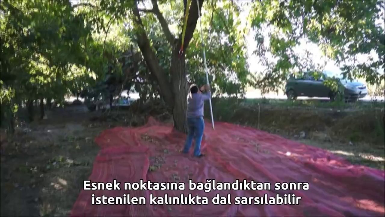 Halatlı Ceviz Toplama Makinası
