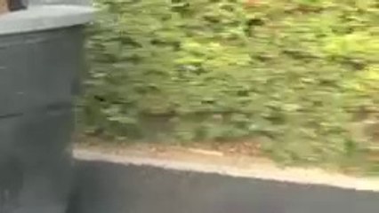 John Attanasio How to pop shove it