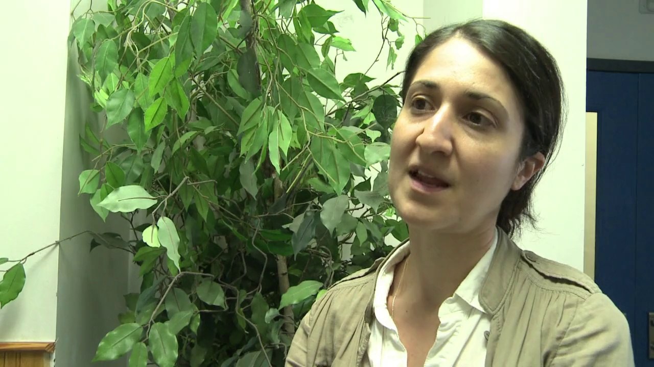 Strengstens abgeschirmt: gefangen in guantanamo