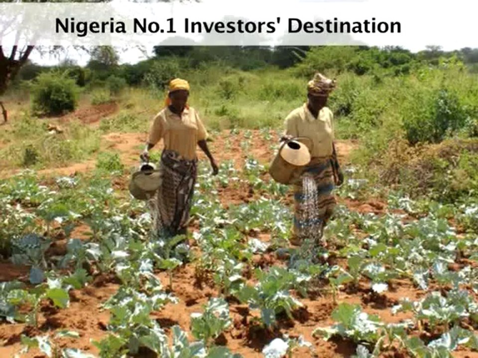 Nigeria-MurazTV