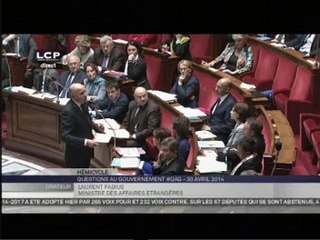 Descargar video: Egypte : Laurent Fabius répond à une question à l'Assemblée nationale (30/04/2014)