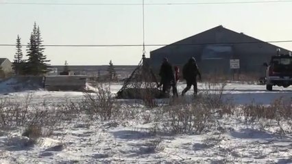 Bear Lift at Churchill Polar Bear Jail