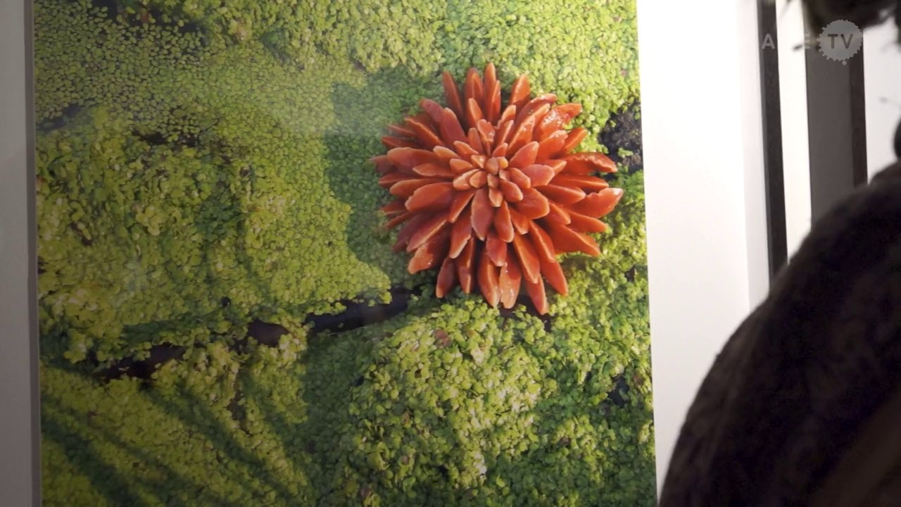 Heide Hatry: The Rust Room. Undercurrent Projects, New York