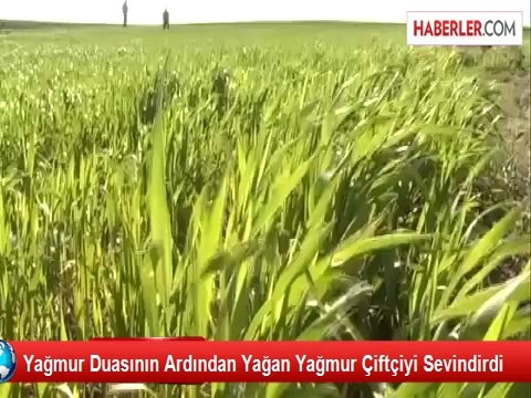 Yağmur Duasının Ardından Yağan Yağmur Çiftçiyi Sevindirdi