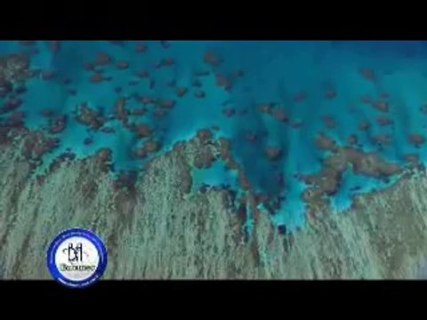 Babunev Travel Havaalanı transfer