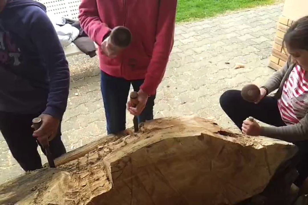 Animation sculpture Bois