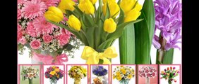 Send Flowers to India Like Mother's Day, Birthday, Valentine day