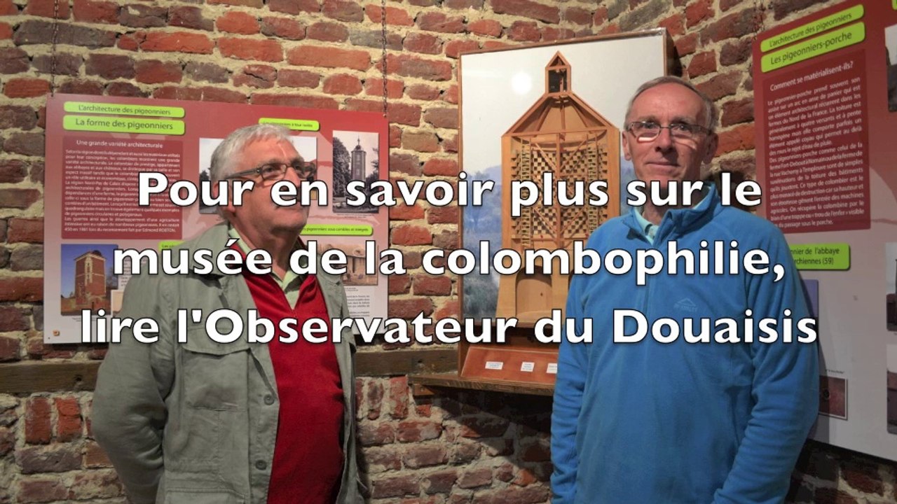 A Bouvignies, le pigeon, c'est toute une histoire !