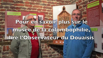 A Bouvignies, le pigeon, c'est toute une histoire !
