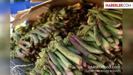 Kürt Muzu Olarak Bilinen Işkın Piyasaya Çıktı