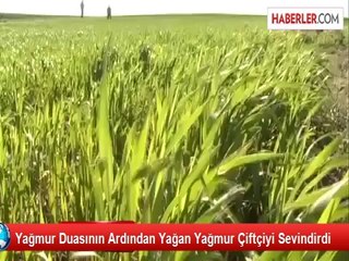 Yozgat'ta Yağmur Çiftçiyi Sevindirdi