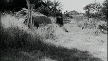 Woh Dekho Jala Ghar Kisika (Anpadh 1962)