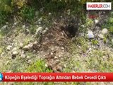 Kadirli'de Bebek Cesedi Bulundu