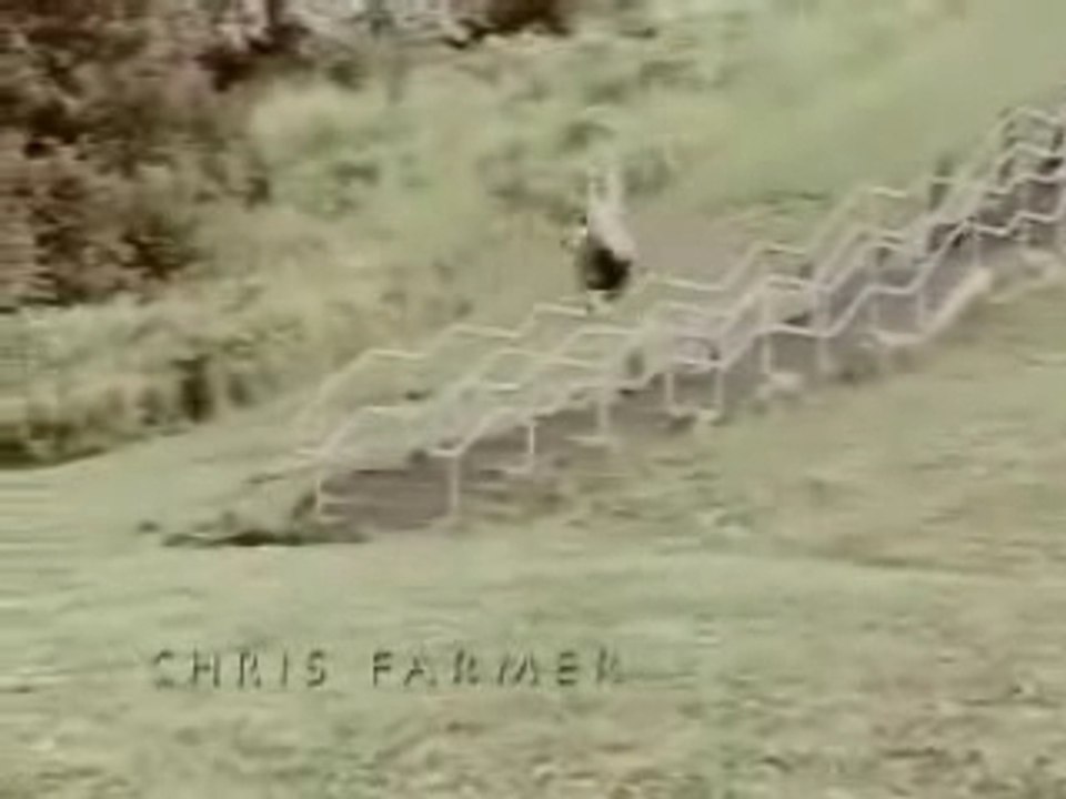 Roller Slide