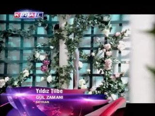 yıldız tilbe gül zamanı