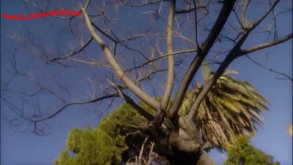 ΚΛΕΜΜΕΝΑ ΟΝΕΙΡΑ ΕΠ 407