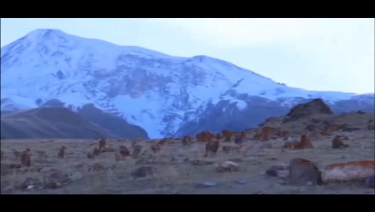 Geçmişten Geleceğe Aralık Belgeseli 2. bölüm ''AHURA''