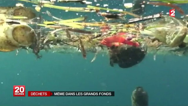 Les déchets jonchent le fond des océans
