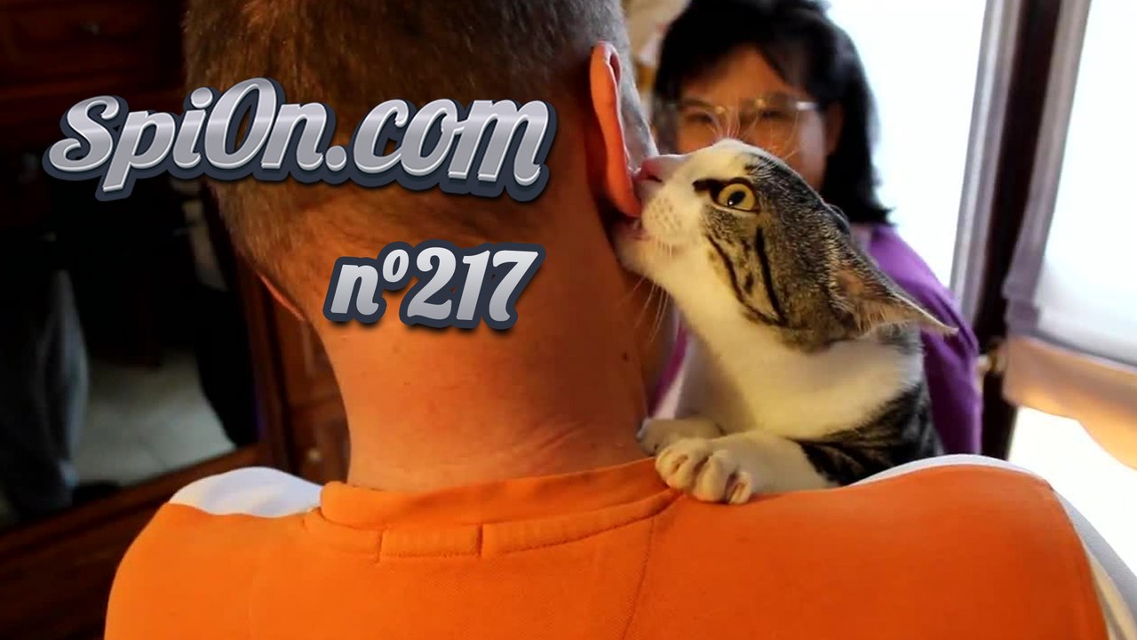 Le Zap de Spi0n n°217 - Zapping du Web