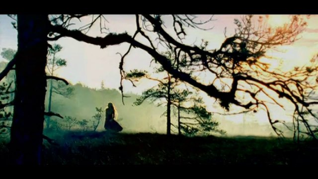 Apocalyptica feat Ville Valo & Lauri Ylonen - Bittersweet