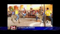 México: burros celebraron su día disfrazados de diferentes personajes (1/2)