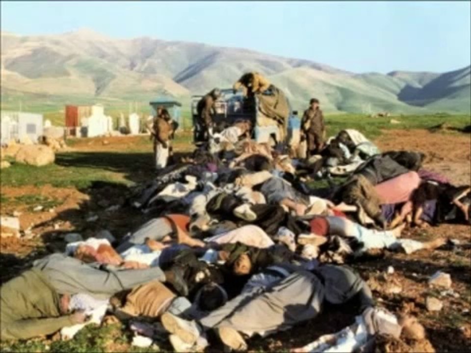 Seqem- Mehmet Afşar