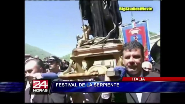 México: burros celebraron su día disfrazados de diferentes personajes (2/2)