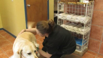 Welcome to Newburgh Veterinary Hospital