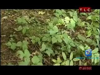 Get Out 2nd May 2014 Video Watch Online pt2