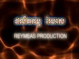 Reymeas Production, Inc. (2005-2010)