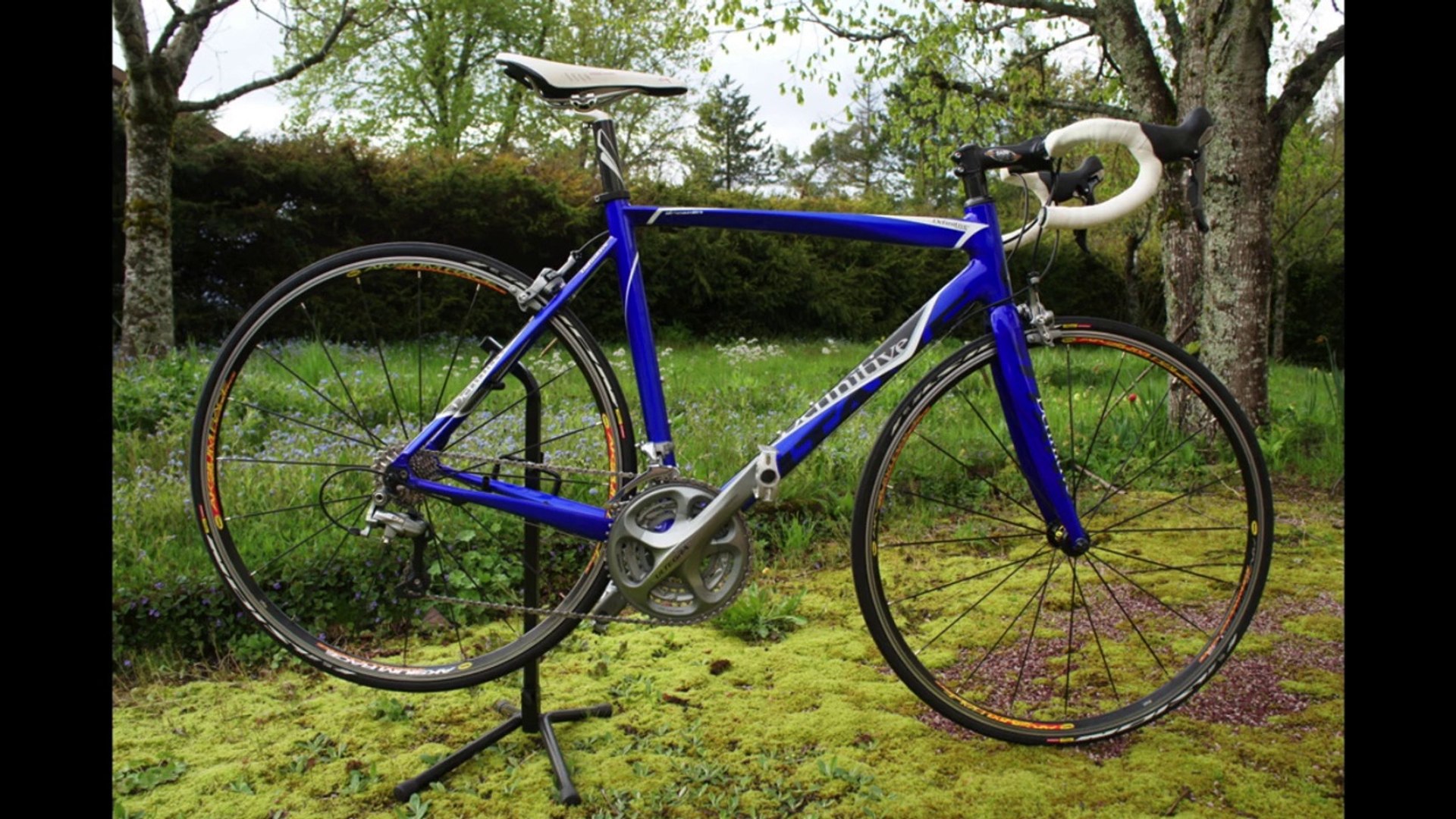 schutzblech zum stecken klixie - Rennrad hinten, ansteckbar an Sattel von Singlespeed, Fixie, Urban, MTB, Fahrrad Spritzschutz 26/28/29 Zoll Größe:280 x 200 mm (zweizeilig) (+1.99€) Aldi middle aisle, absolute Gesunde Fette