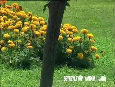 Seyreyleyip Yandım (Saba Makamı İlahi) - Mehmet Erarabacı