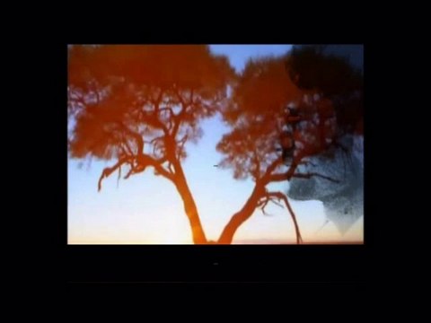 Ya Men Yera_ARAPÇA İlahi - Mehmet ERARABACI