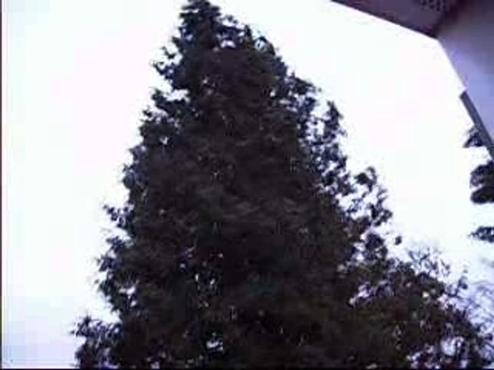 Sturm kyrill 18. 01. 2007