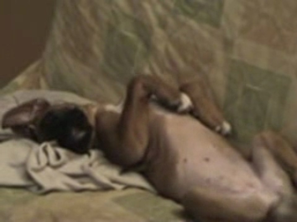 Maelle video 2