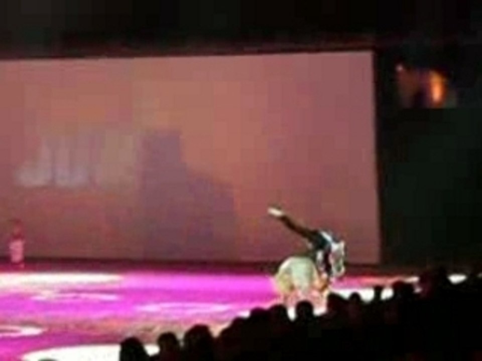 TechnoAcrobates/cheval passion