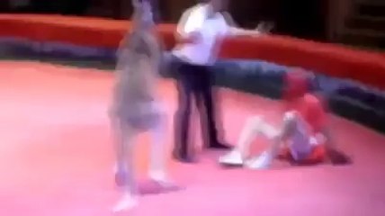 hayvanların sirke mahkum olmasını istemiyoruz - www.takozovic.com