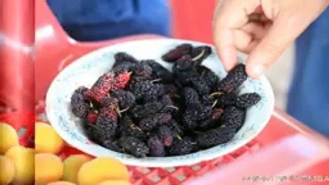 Siverek yukarı fırat kanyonu 13 (Müzik UİKTM) - YouTube1