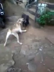 Bu Horoz Ne İçtiyse Aynısından İstiyorum